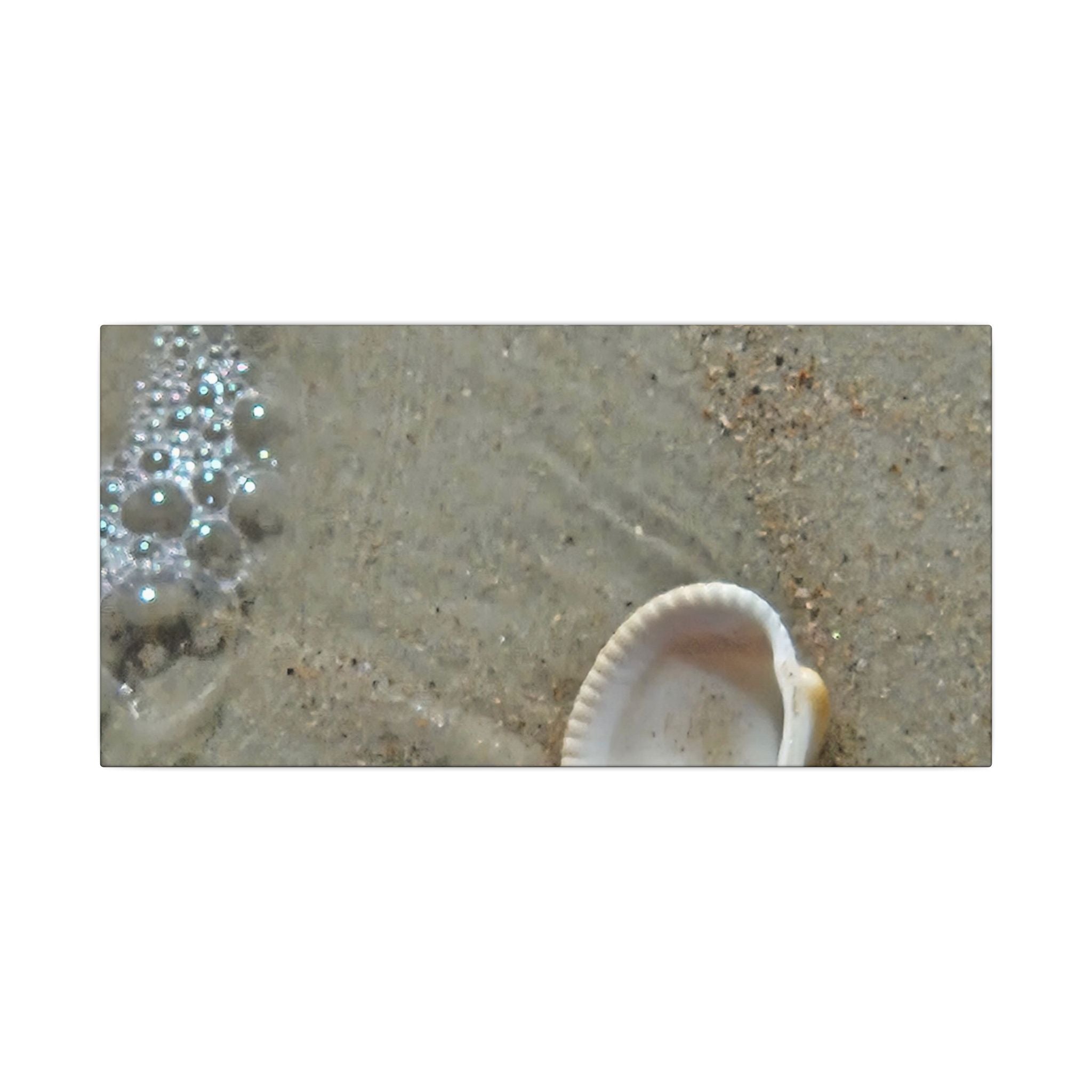 Seashell on Sand Matte Canvas Wall Art — Coastal Beach Photography Print