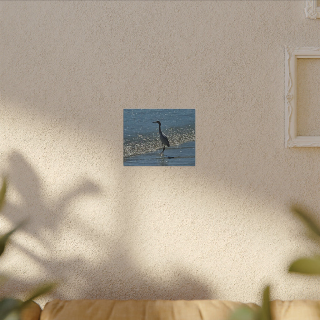 Egret on Shore Matte Stretched Canvas — Coastal Bird Wall Art