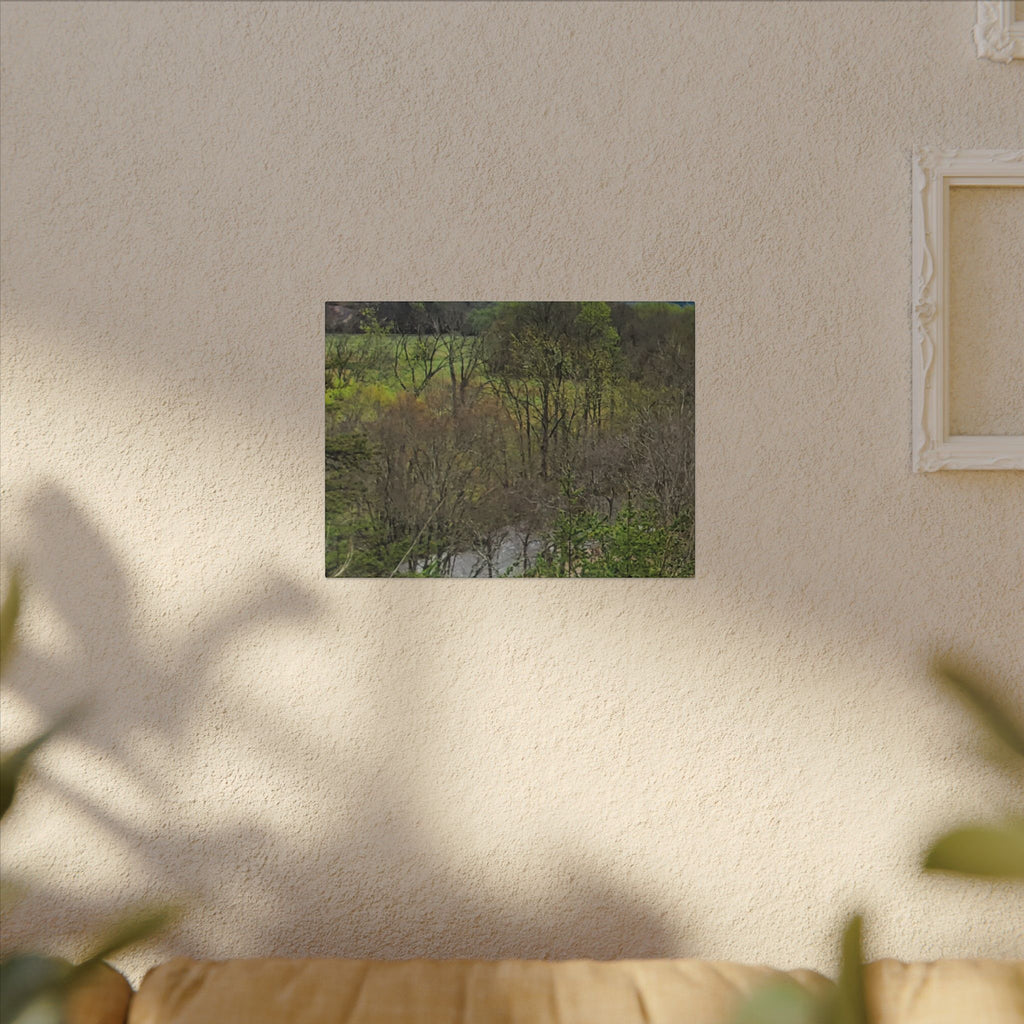 Matte Stretched Canvas Wall Art - Serene Green Woodland Landscape