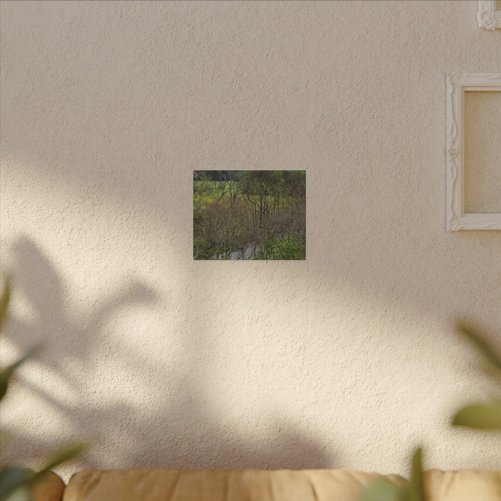Matte Stretched Canvas Wall Art - Serene Green Woodland Landscape