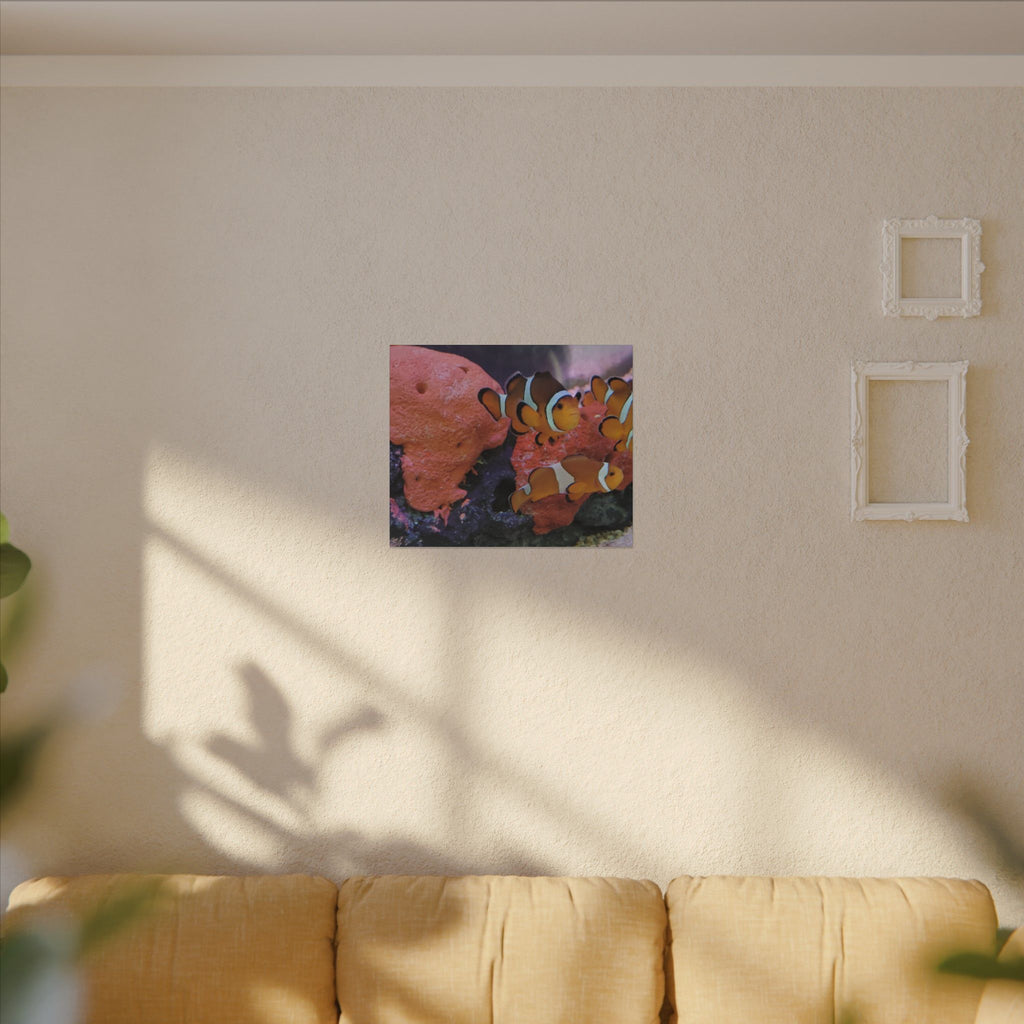 Clownfish Reef Matte Canvas Wall Art — Vibrant Ocean Photography Print