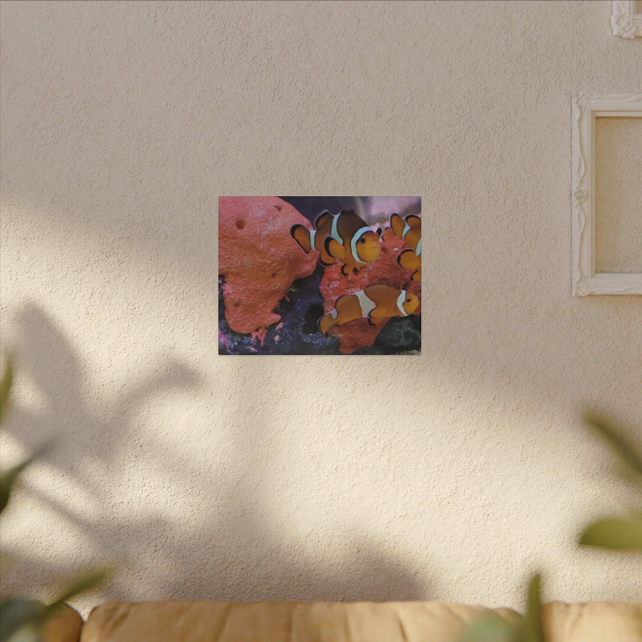 Clownfish Reef Matte Canvas Wall Art — Vibrant Ocean Photography Print