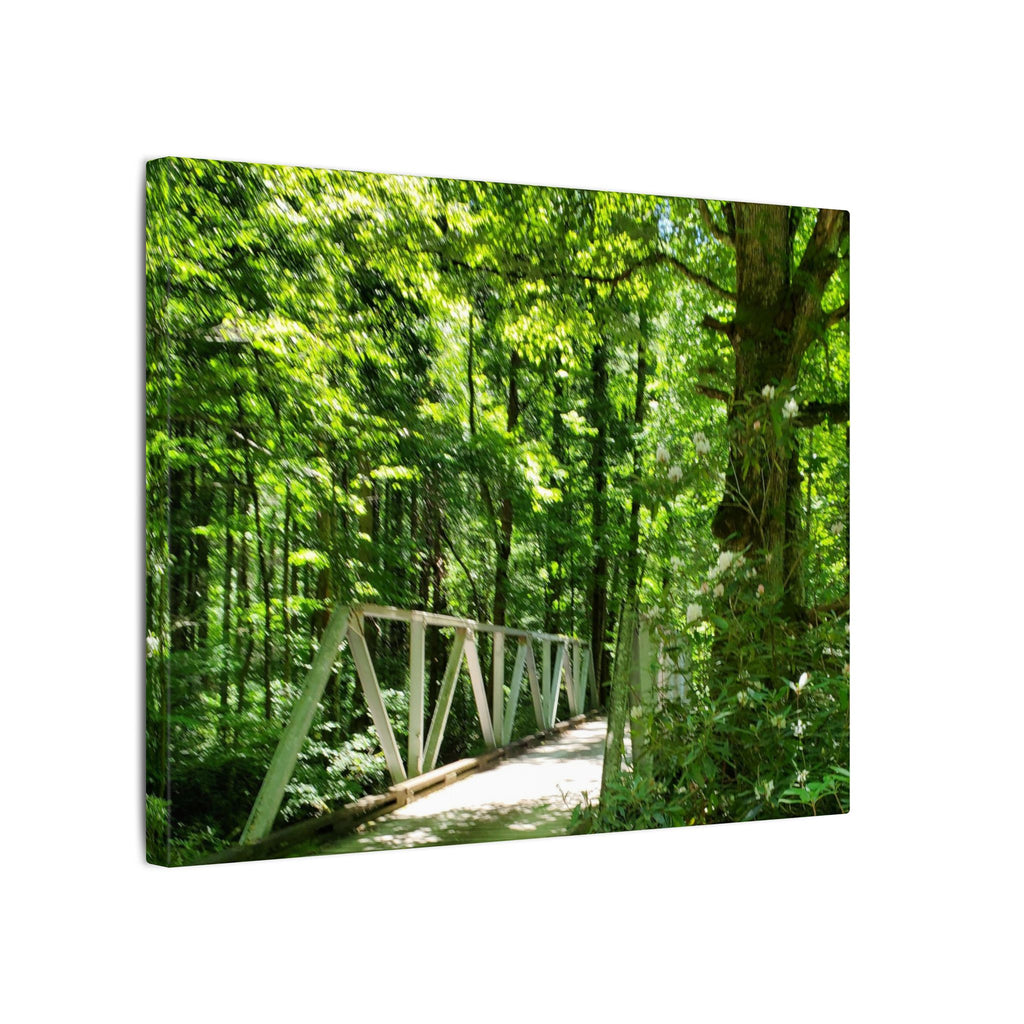 Forest Bridge Canvas Wall Art — Green Woodland Trail Photography