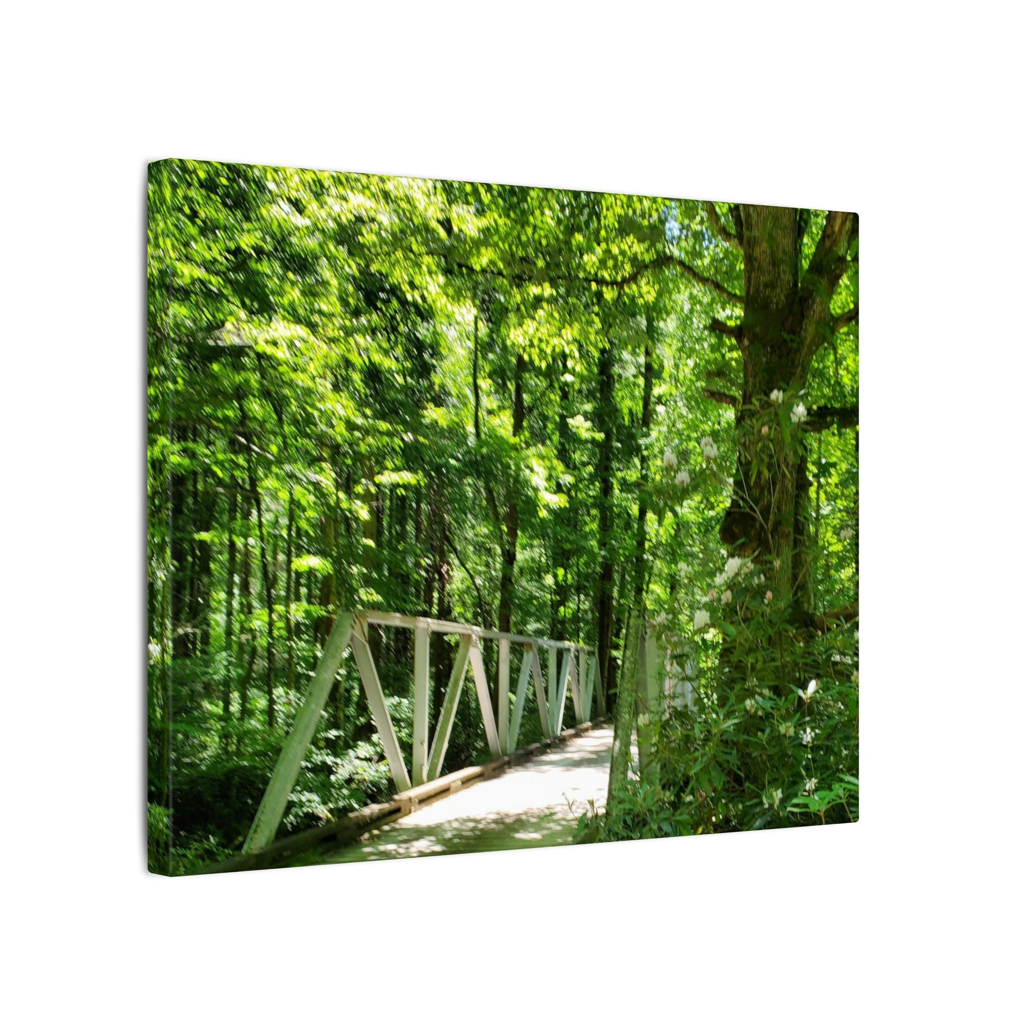 Forest Bridge Canvas Wall Art — Green Woodland Trail Photography
