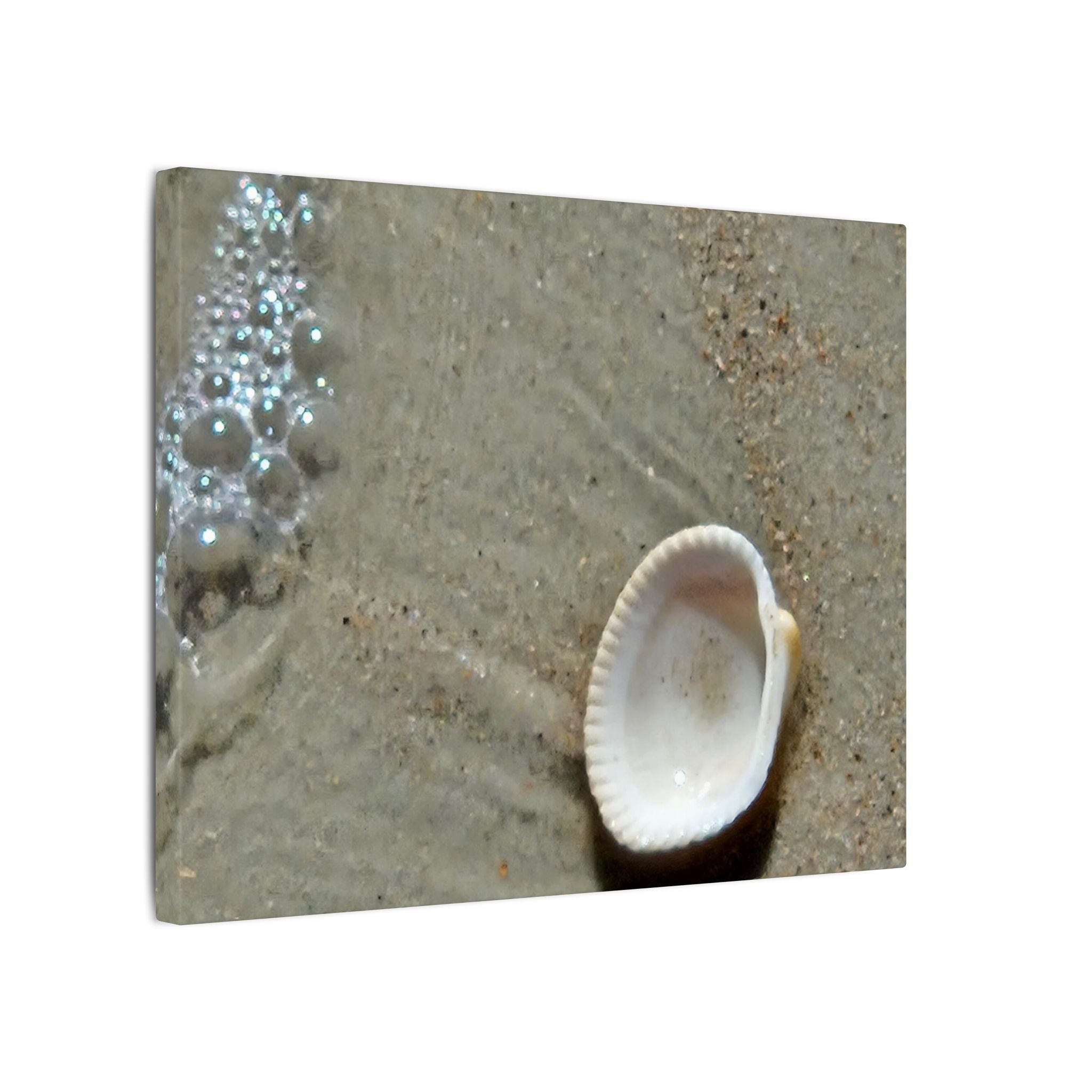 Seashell on Sand Matte Canvas Wall Art — Coastal Beach Photography Print