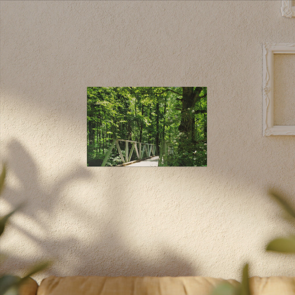 Forest Bridge Canvas Wall Art — Green Woodland Trail Photography