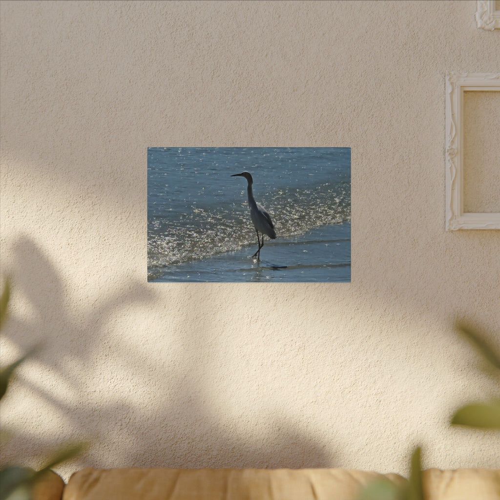 Egret on Shore Matte Stretched Canvas — Coastal Bird Wall Art