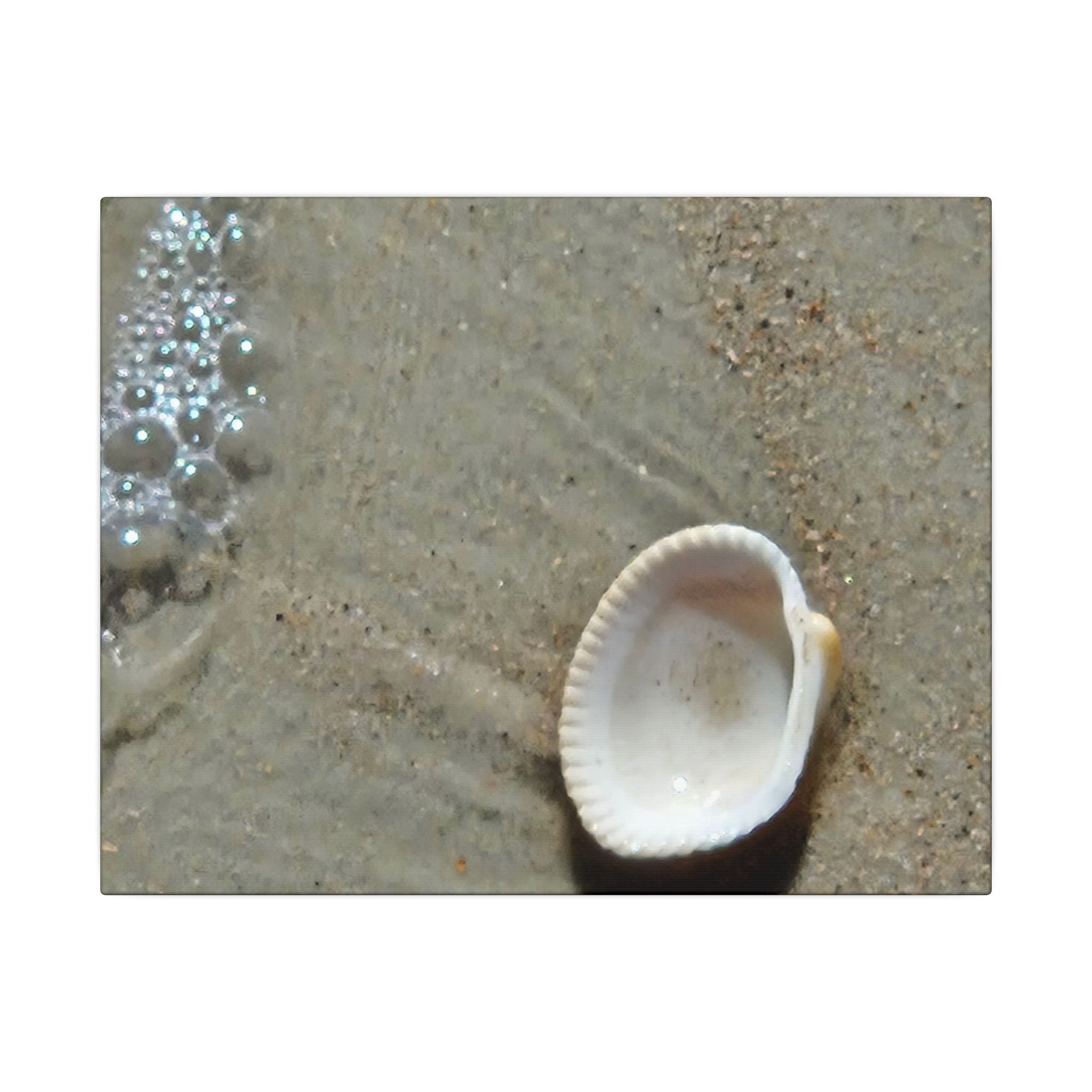 Seashell on Sand Matte Canvas Wall Art — Coastal Beach Photography Print