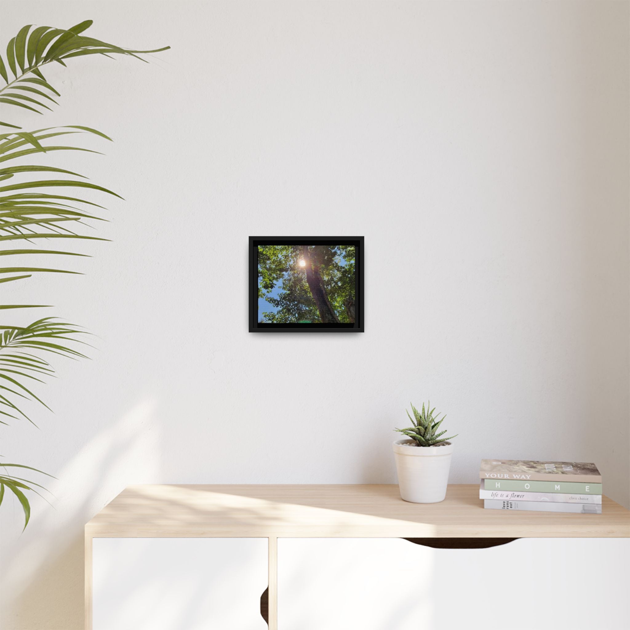 Sunlit Tree Canopy Matte Framed Canvas